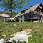 Turisticna Kmetija Pri Andreju