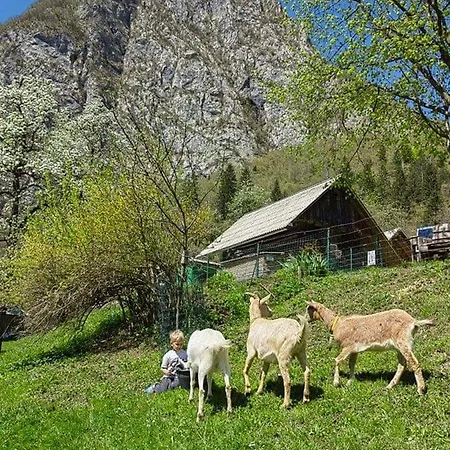 Turisticna Kmetija Pri Andreju شقة *