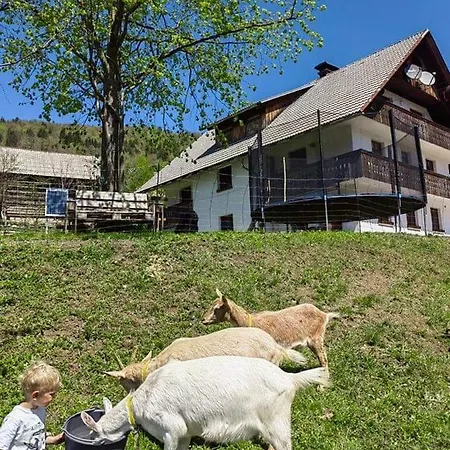 Turisticna Kmetija Pri Andreju