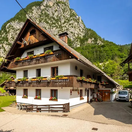 Turisticna Kmetija Pri Andreju Lägenhet Bohinj