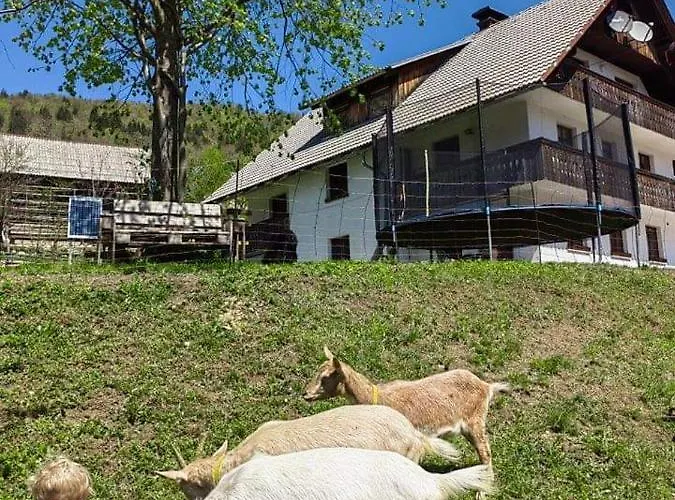 Turisticna Kmetija Pri Andreju