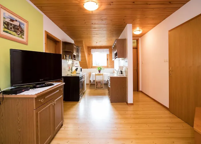 Turisticna Kmetija Pri Andreju 보히니