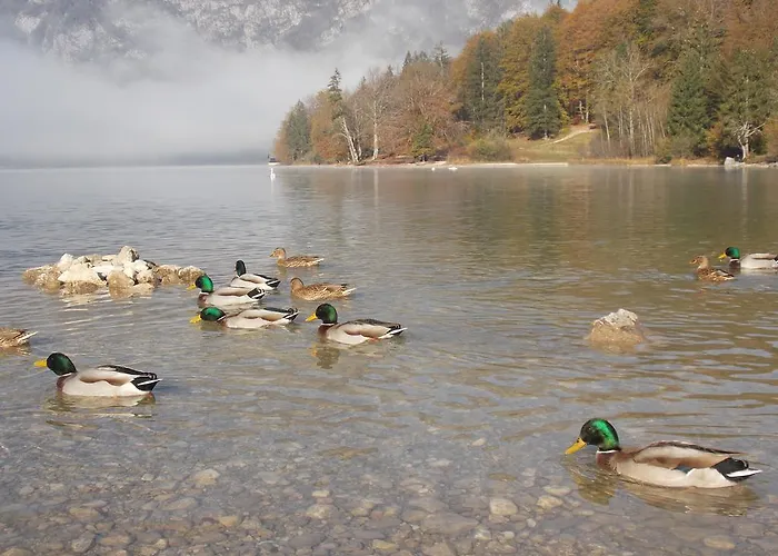Διαμέρισμα Turisticna Kmetija Pri Andreju Bohinj