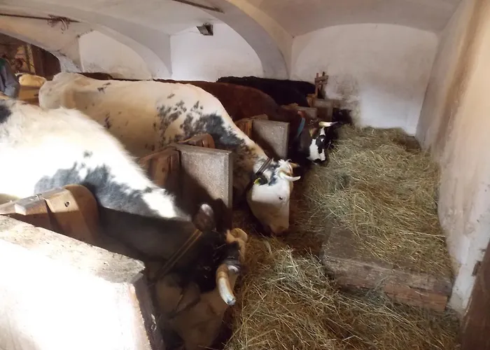 Turisticna Kmetija Pri Andreju