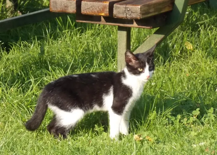 아파트 Turisticna Kmetija Pri Andreju