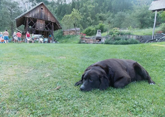 아파트 Turisticna Kmetija Pri Andreju *