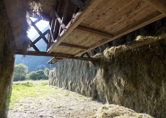 Daire Turisticna Kmetija Pri Andreju